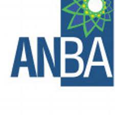 A N Bobade & Associates Chartered Accountants - Logo