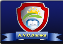 A.N.College - Logo