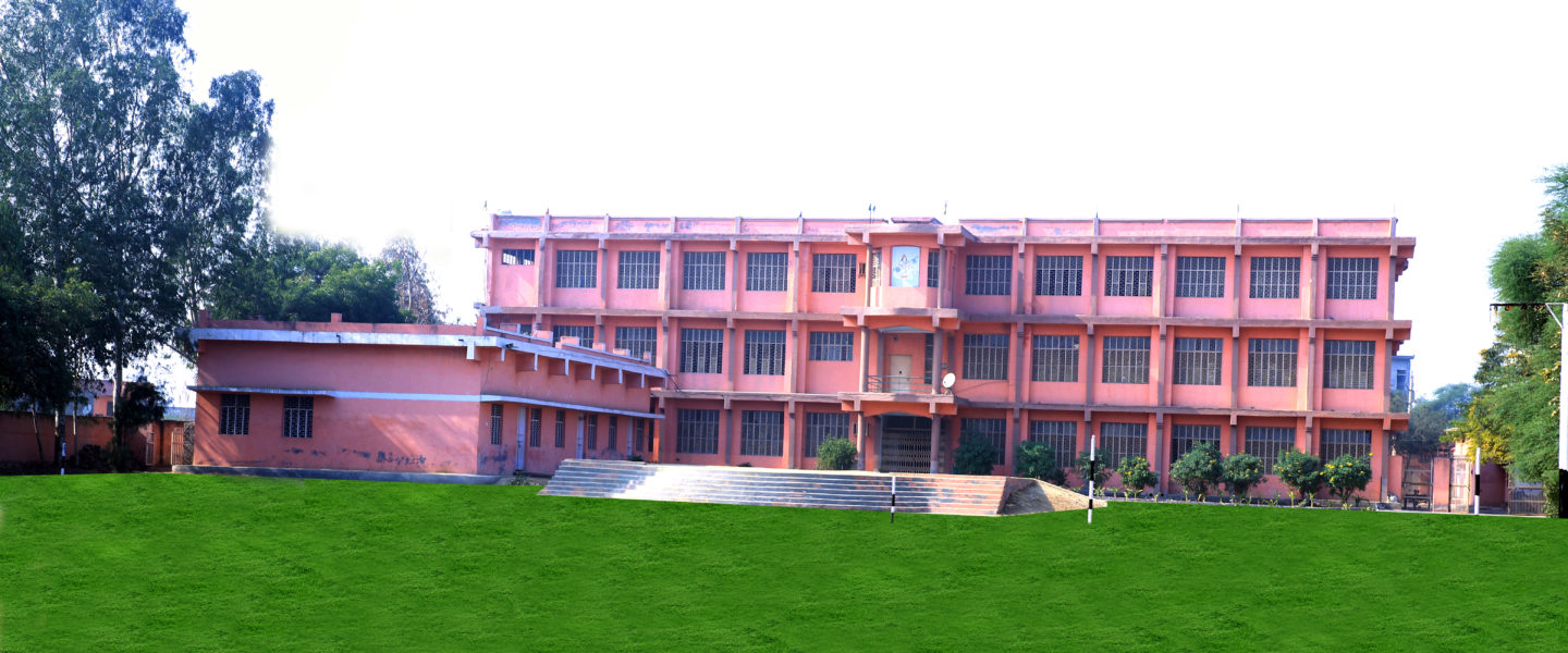 A.P.G. Public School Kharkhoda Schools 006