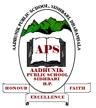 Aadhunik Public School - Logo