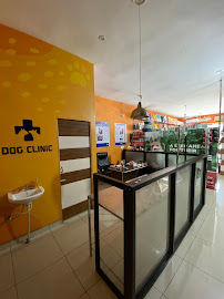 Abjinder & Daughters Dog Clinic and Pet Shop Medical Services | Veterinary