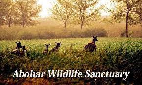 abohar wildlife sanctuary - Logo