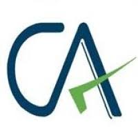 Accounting Professional - Logo