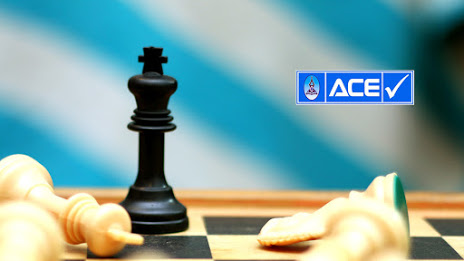ACE Institutions - Logo
