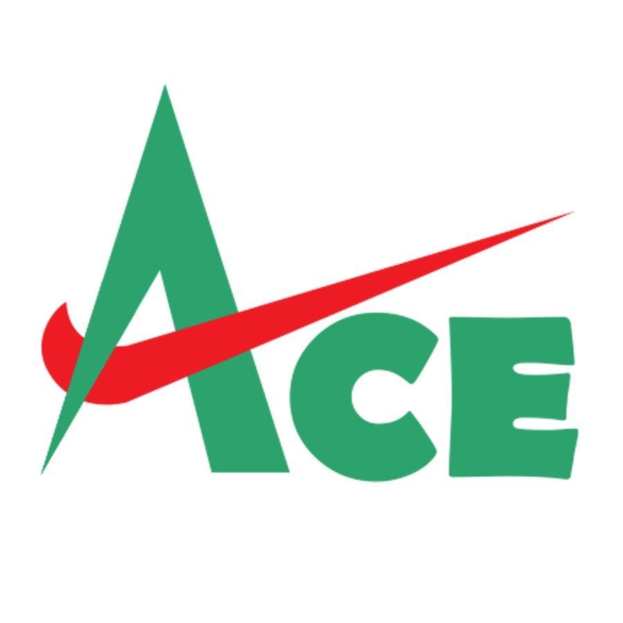 Ace Public School Logo