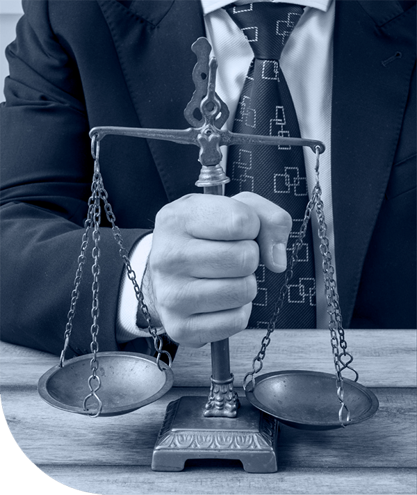 Advocate Narender Singh Professional Services | Legal Services