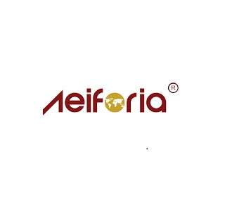 Aeiforia Architects|IT Services|Professional Services