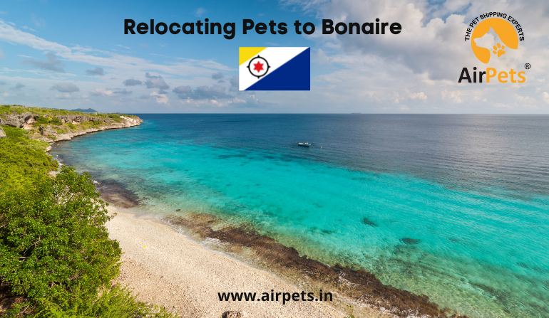 Airpets Relocations Services Pvt Ltd Professional Services | IT Services