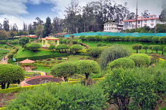Al Woodlands Residency Accomodation | Hotel