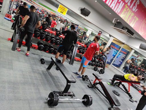 Alivez Executive Gym Fitness Active Life | Gym and Fitness Centre