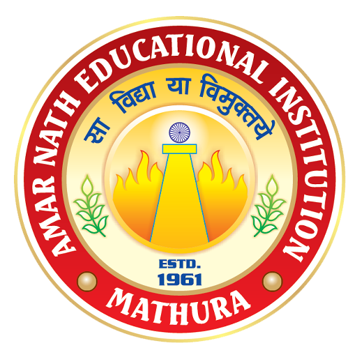 Amar Nath Vidya Ashram Senior Secondary School Logo