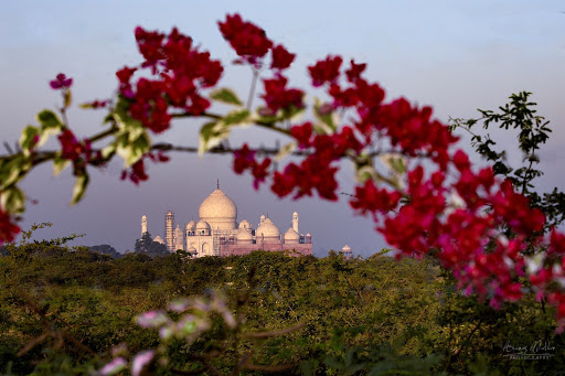 Amazing Taj Mahal Photographers Event Services | Photographer