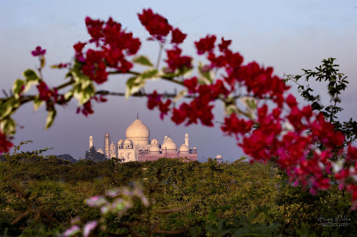 Amazing Taj Mahal Photographers Event Services | Photographer