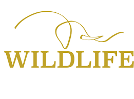 Amchang Wildlife Sanctuary Logo