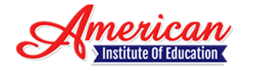 American Institute Logo