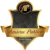 Amicus Publico LLP|IT Services|Professional Services