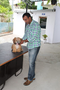 Amigo Pet Clinic Medical Services | Veterinary