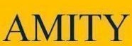 Amity Institute For Competitive Examinations|Schools|Education