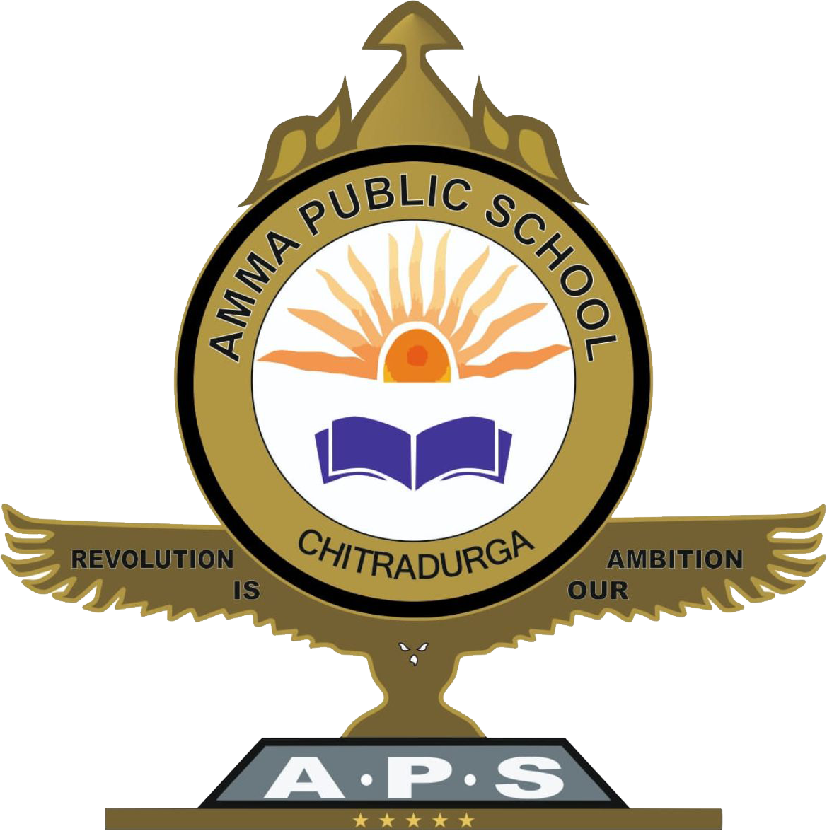 AMMA PUBLIC SCHOOL Logo