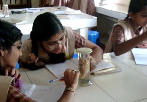 Amrita Vidyalayam Education | Schools