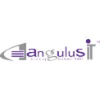 Angulus IT Services Private Limited - Logo