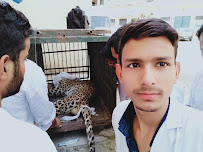 animal hospital udaipur Medical Services | Veterinary