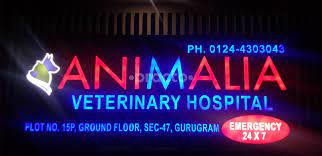 Animalia Veterinary Polyclinic|Hospitals|Medical Services