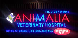 Animalia Veterinary Polyclinic|Diagnostic centre|Medical Services