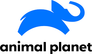Animel Planet Logo