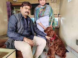 Anjali Pet Clinic Ranchi|Diagnostic centre|Medical Services