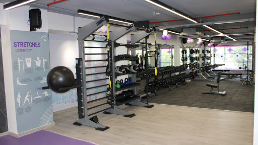 Anytime Fitness 24/7 American Chain Active Life | Gym and Fitness Centre