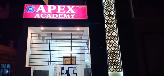 Apex Academy - Logo