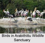 Arabithittu Wildlife Sanctuary - Logo