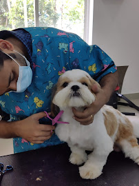 ARUMA MULTISPECIALITY PET HOSPITAL Medical Services | Veterinary