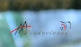 Ashish photography - Logo