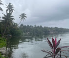 Ashtamudi Lake Travel | Lake