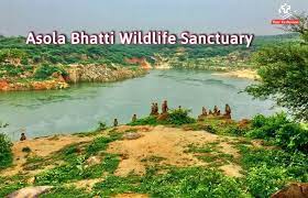 Asola Bhatti Wildlife Sanctuary - Logo