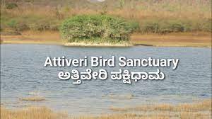 Attiveri Bird Sanctuary - Logo