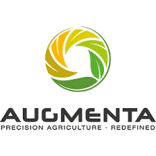 Augmenta Management Services|Accounting Services|Professional Services