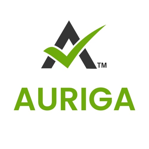 AURIGA ACCOUNTING PRIVATE LIMITED Logo