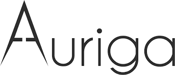 Auriga IT Consulting Pvt. Ltd.|Accounting Services|Professional Services
