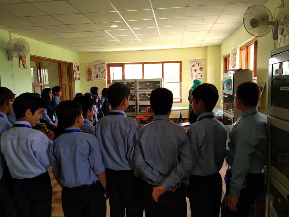 Ayesha Ali Academy Education | Schools