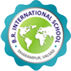 B.R.International School Logo