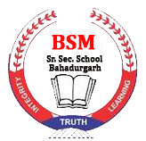 B.S.M. SENIOR SECONDARY SCHOOL, BAHADURGARH|Universities|Education