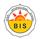 Baddi international school Logo