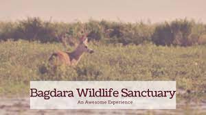 Bagdara Wildlife Sanctuary - Logo