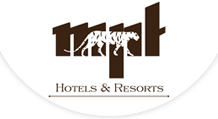 Baghira Jungle Resort|Resort|Accomodation