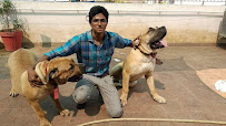 Bairav pet clinic Medical Services | Veterinary