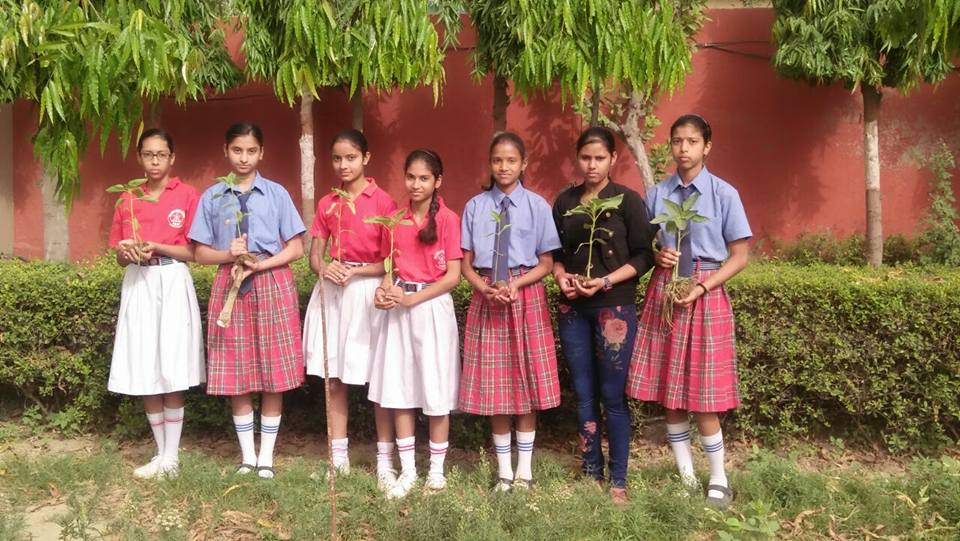 Bal Jyoti Public School Ghaziabad Schools 003
