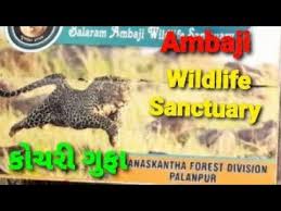 Balaram Ambaji Wildlife Sanctuary Logo
